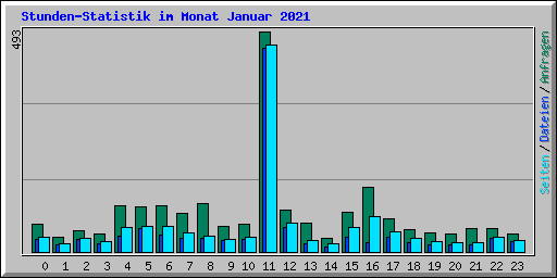 Stunden-Statistik im Monat Januar 2021