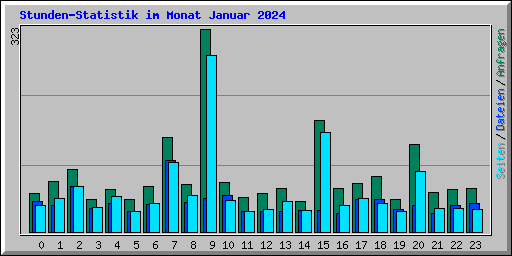 Stunden-Statistik im Monat Januar 2024