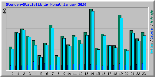 Stunden-Statistik im Monat Januar 2026